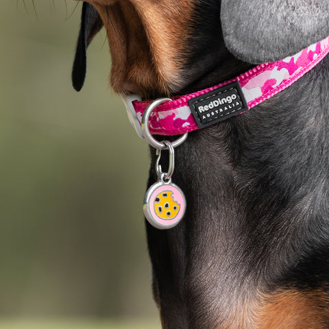 Cookie - Red Dingo Engraved Cat/Dog Tag