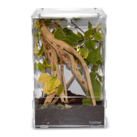 HabiStat Clear Acrylic Mantis Home