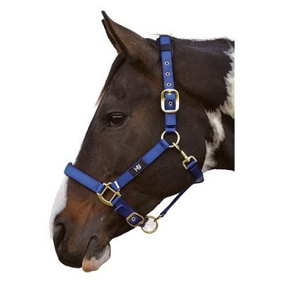 Hy Deluxe Padded Head Collar Blue Cob