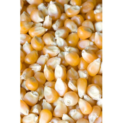 I'Anson Whole Maize 25kg