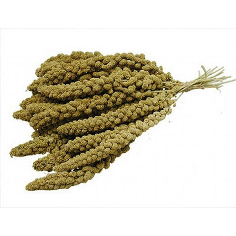 Versele Laga Chinese Yellow Millet Sprays 15kg