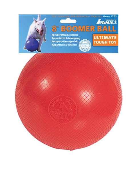 Boomer Ball, Tough Dog Ball For Chasing