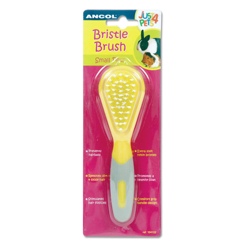 Ancol Small Animal Bristle Brush, Perfect for Rabbits & Guinea Pigs