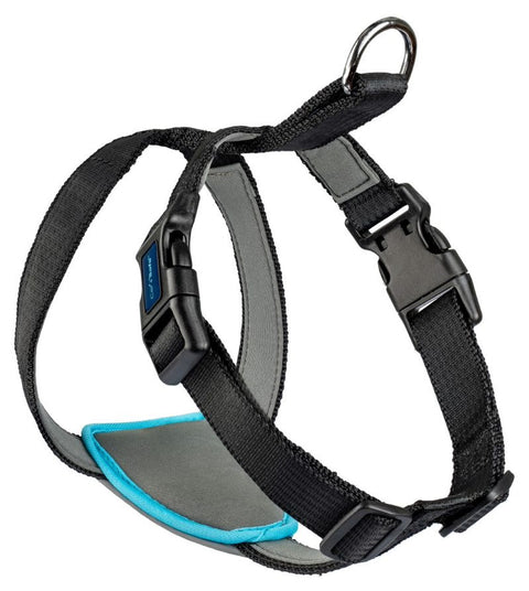 CarSafe Dog Travel Harness Black