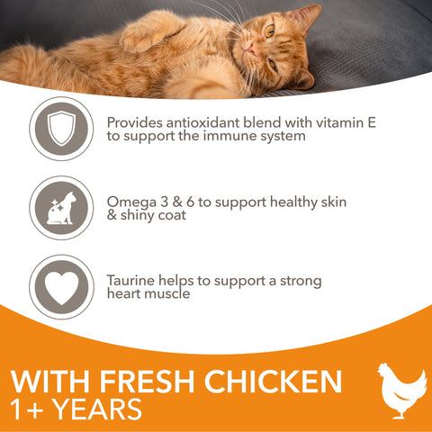 Iams Cat Adult with Chicken 2 x 2kg