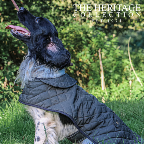 Ancol Heritage Collection Quilted Hound Dog Coat