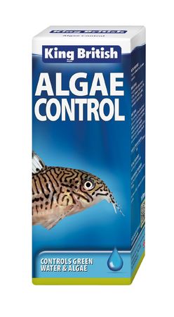 King B Algae Guard 3x100ml