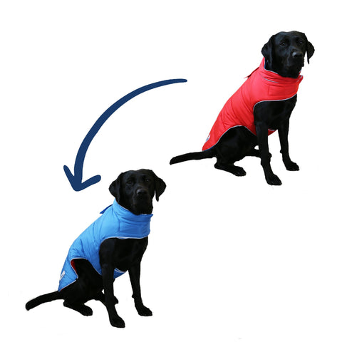 Ancol Viva Reversible Dog Coat Red/Blue