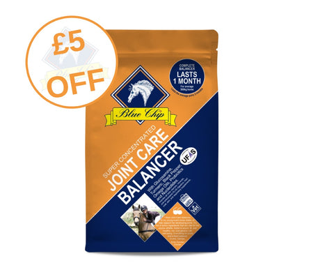 Blue Chip Super Concentrated Joint Balancer £5 Off 3 kg