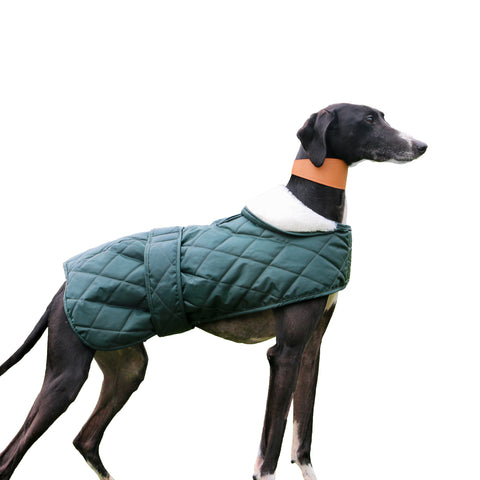 Ancol Muddy Paws Quilted Green Greyhound & Whippet Coat