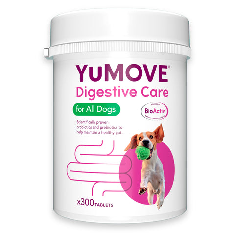 YuMOVE Digestive Care Dog 300 Tablets