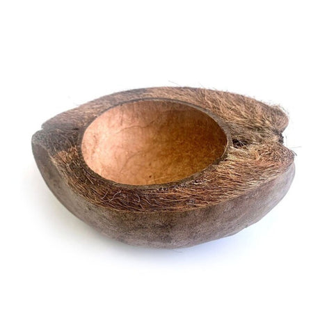 HabiStat Natural Coconut Bowl