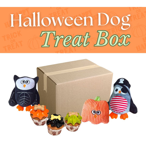 Halloween Trick Or Treat Box For Dogs