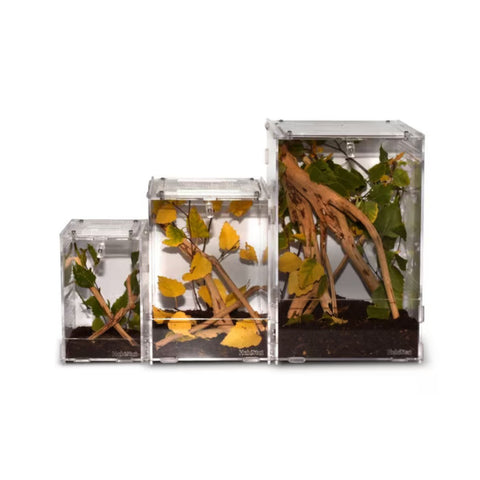 HabiStat Clear Acrylic Mantis Home