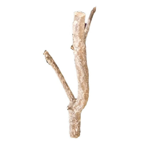 HabiStat Natural Cork Branch