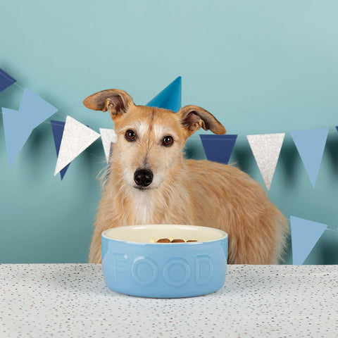 Scruffs Classic Food Bowl Ceramic, Blue, 15cm