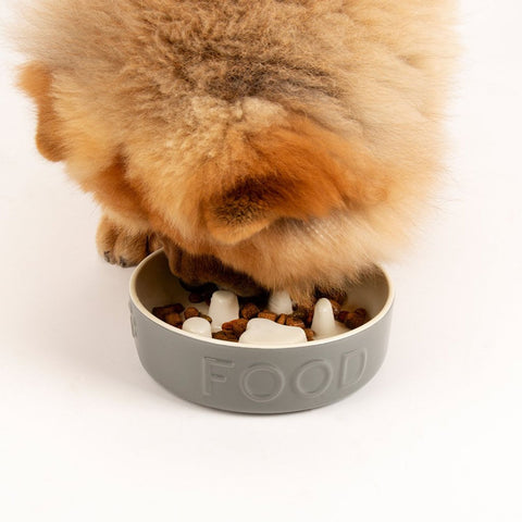 Scruffs Classic Slow Feeder Ceramic Bowl