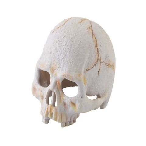 Exo Terra Primate Skull