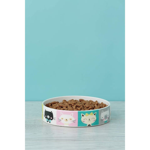 Mason Cash Pawtrait Cat Bowl With Placemat Bundle