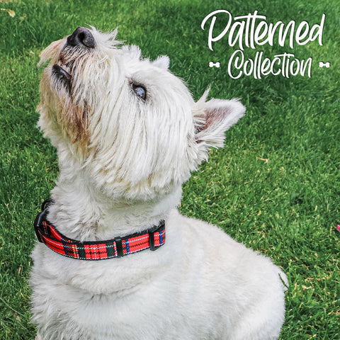 Ancol Red Tartan Dog Collar