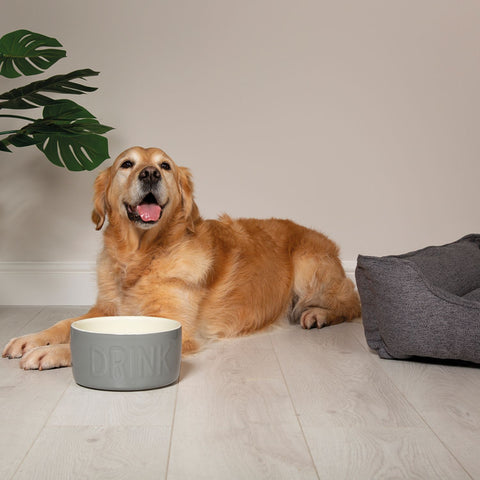 Scruffs Classic Grey Water Bowl Ceramic