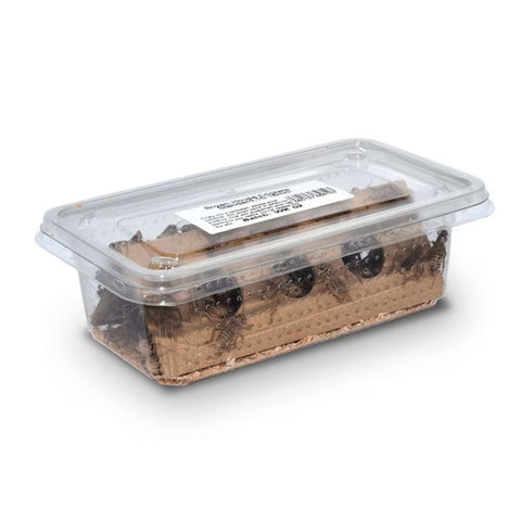 Hatchling Banded Brown Crickets, Single Tub or Twin Pack