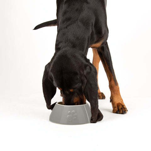 Scruffs Classic Grey Non Tip Bowl For Long Eared Dogs