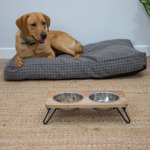 Ancol Hungry Paws Raised Twin Feeder With 2 Bowls Included