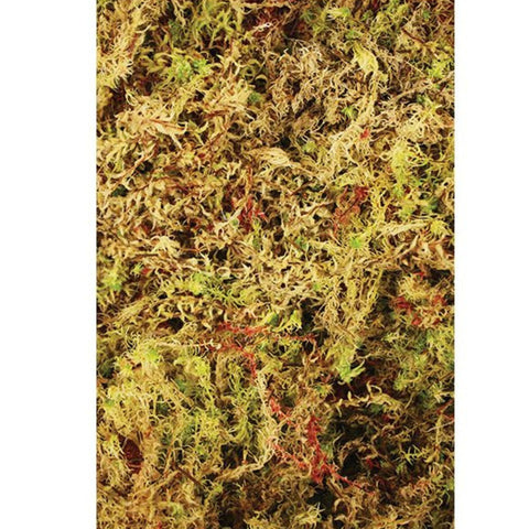 Komodo Habitat Moss, 3ltr - Natural Substrate for Geckos, Crabs, Lizards, Snakes, & Frogs