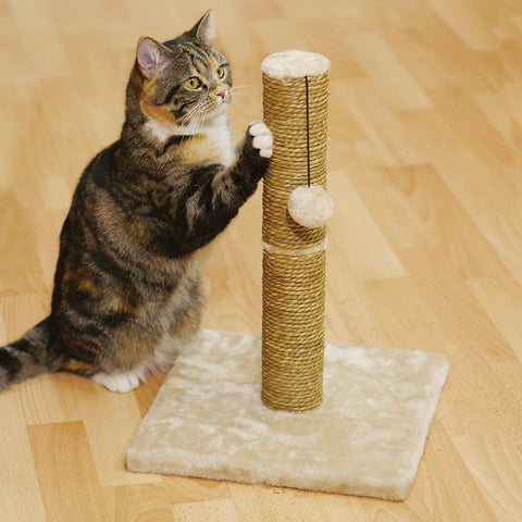 Rosewood Turin Scratching Post For Cats