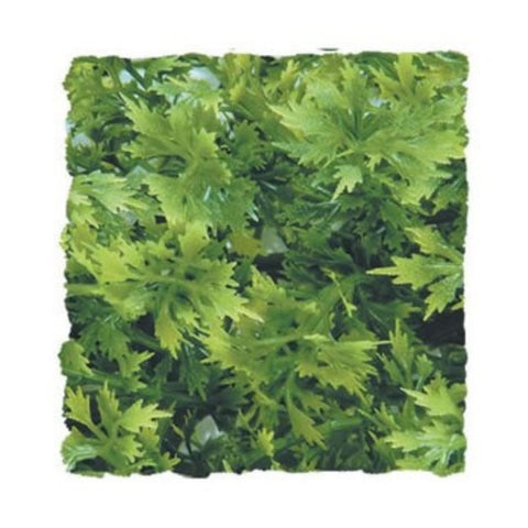 Zoo Med Australian Maple Plant, Artificial Plant