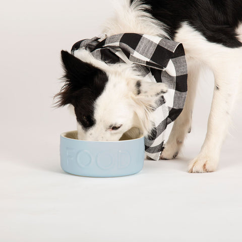 Scruffs Classic Food Bowl Ceramic, Blue, 15cm