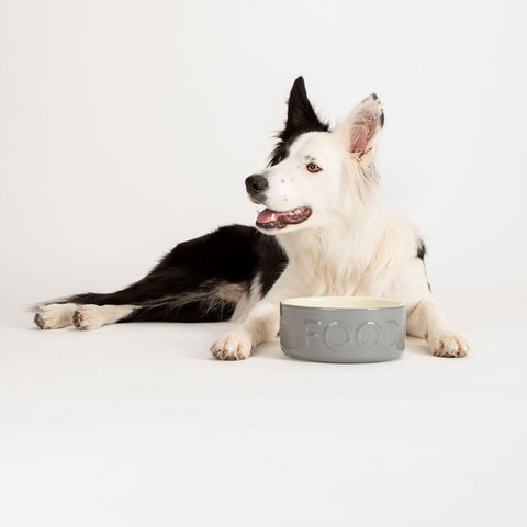 Scruffs Classic Food Bowl Ceramic, Grey