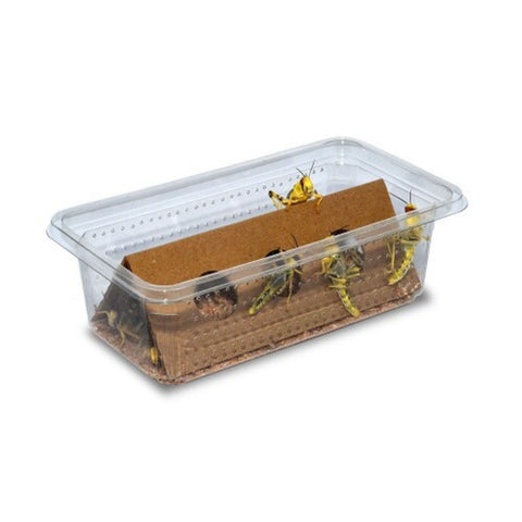 3rd Hoppers Locusts, Single Tub, Twin Pack or Bulk Bag