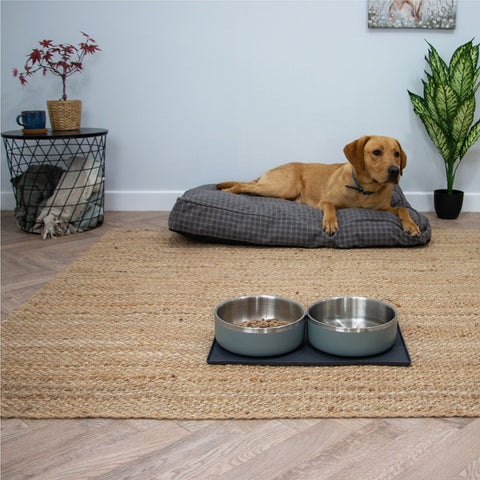 Ancol Hungry Paws Stainless Sage Steel Bowl