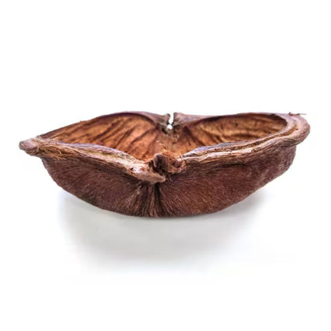 HabiStat Natural Sculta Pod Hideout & Bowl