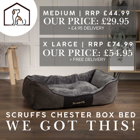 Scruffs Chester Graphite Box Bed