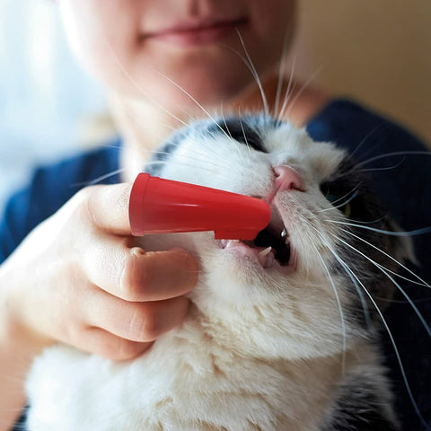 Beaphar Finger Toothbrush 2pk With Hatchwells Toothpaste Bundle For Cats & Dogs