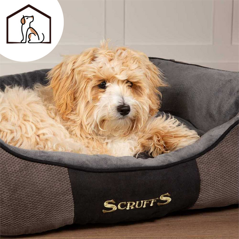 Scruffs Chester Graphite Box Bed