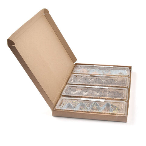 4-6 Tubs Letterbox Pack, Reptile Live Food, Mix 'N' Match, Express Delivery