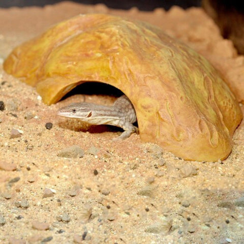 HabiStat Sandstone Reptile Cave