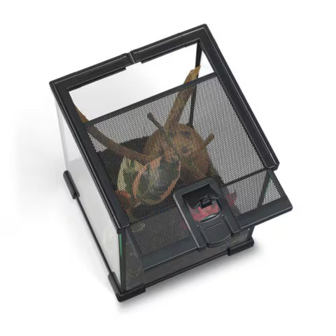 HabiStat Glass Terrarium, (Pre-Built)