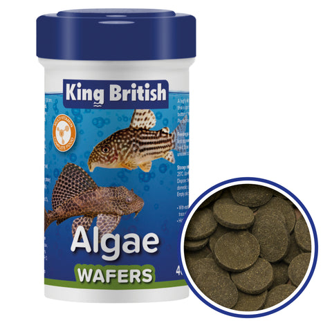 King B Algae Wafers 6x40g