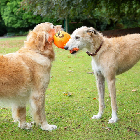 Good Boy Space Lobber Tug Dog Toy