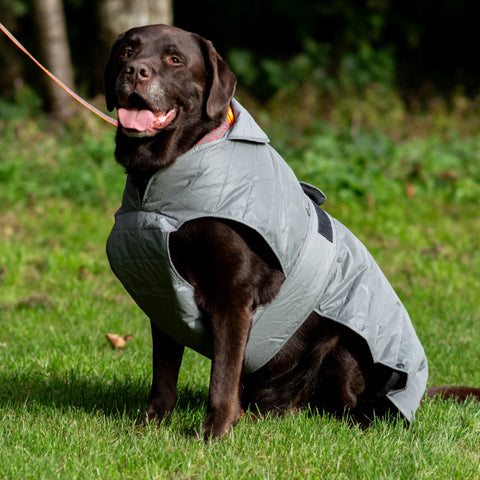 Ancol Muddy Paws Ultimate, Water-Resistant, Reflective Dog Coat