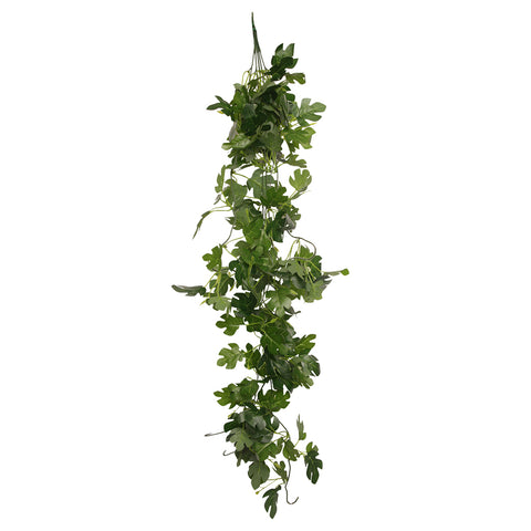 HabiStat Hanging Vine, Hyphosis, 100cm