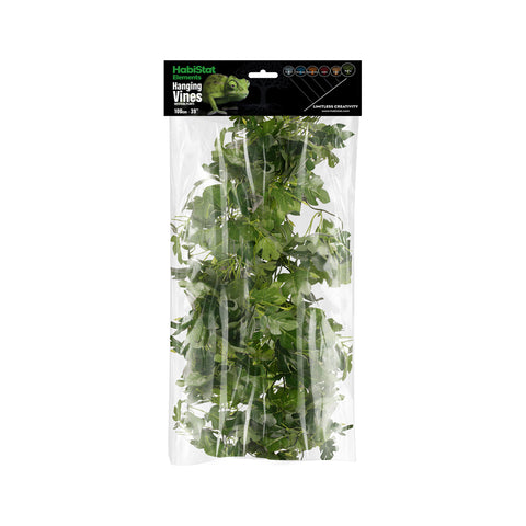 HabiStat Hanging Vine, Hyphosis, 100cm