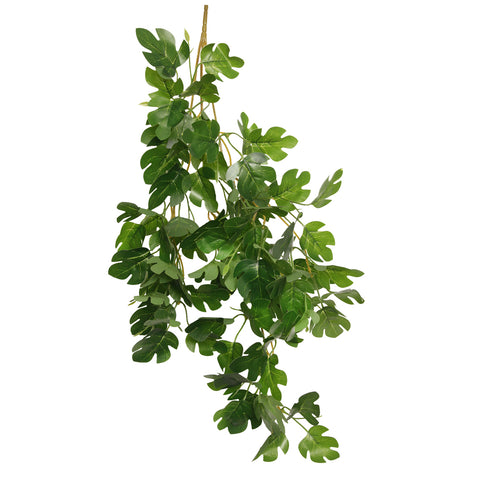 HabiStat Hanging Vine, Hyphosis, 60cm