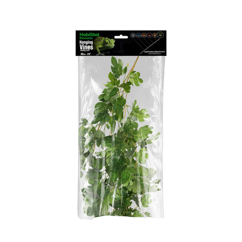 HabiStat Hanging Vine, Hyphosis, 60cm