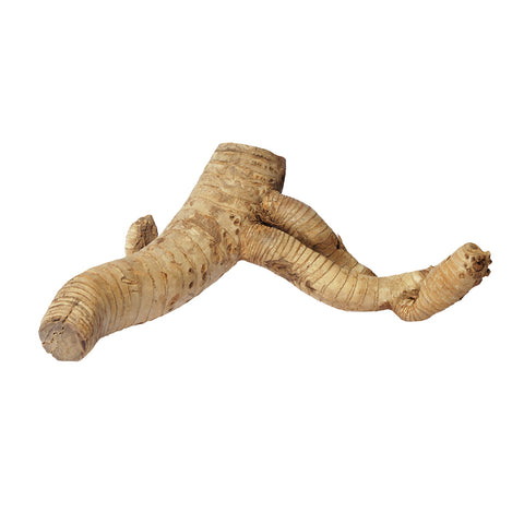 HabiStat Bamboo Root, Large